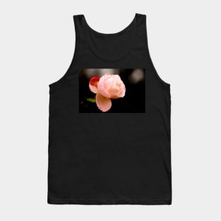 Water Droplets on a Pink Rose Tank Top